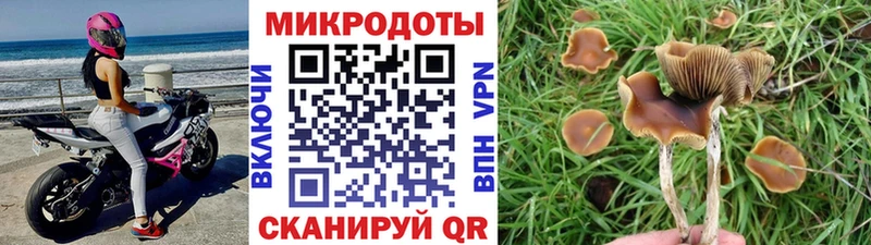 Псилоцибиновые грибы Magic Shrooms  Кунгур 